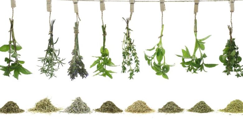 Fresh herbs