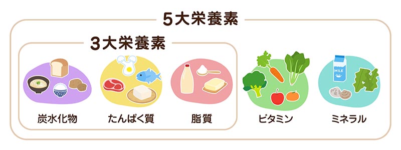 5大栄養素の分類図